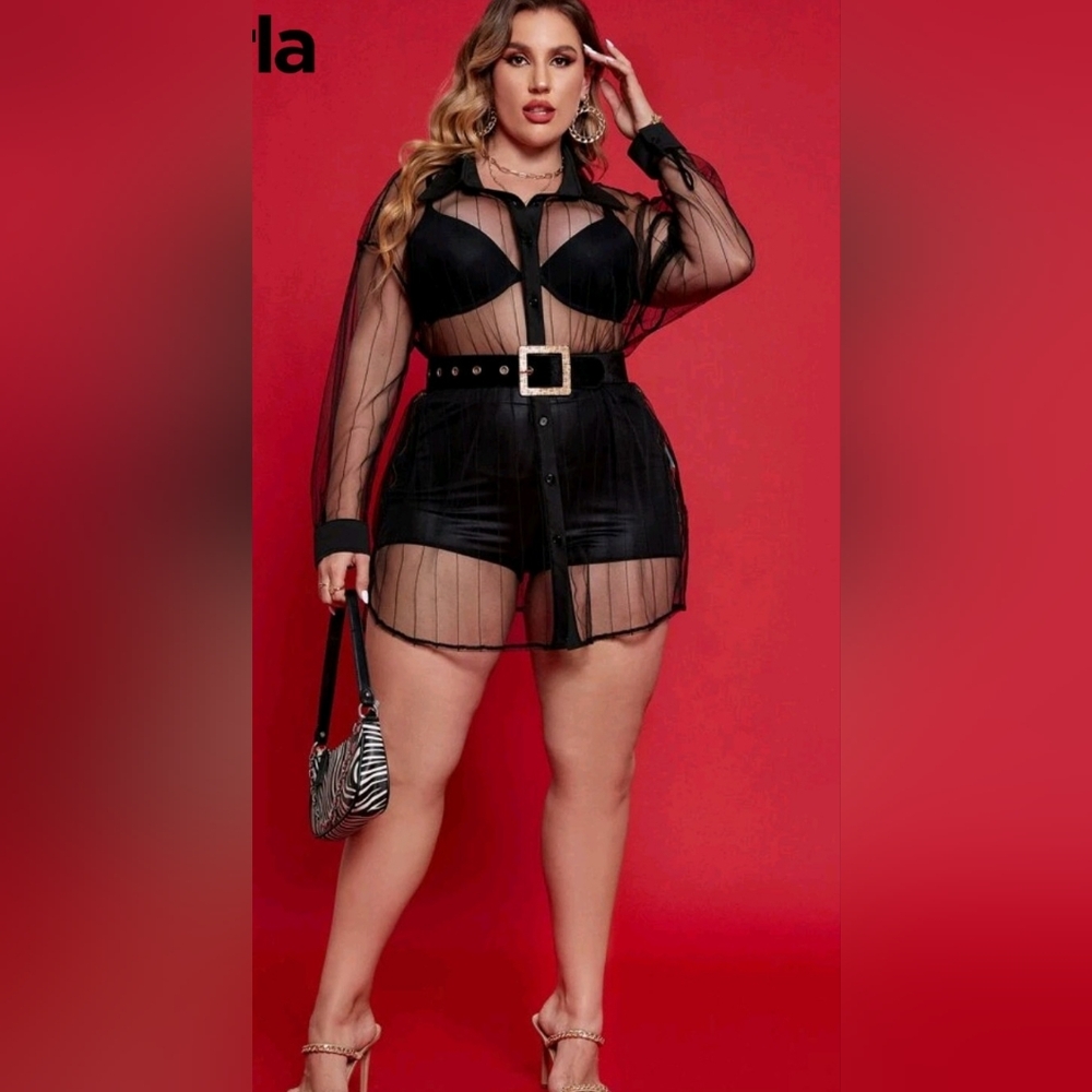 Sheer Black Belted Dress